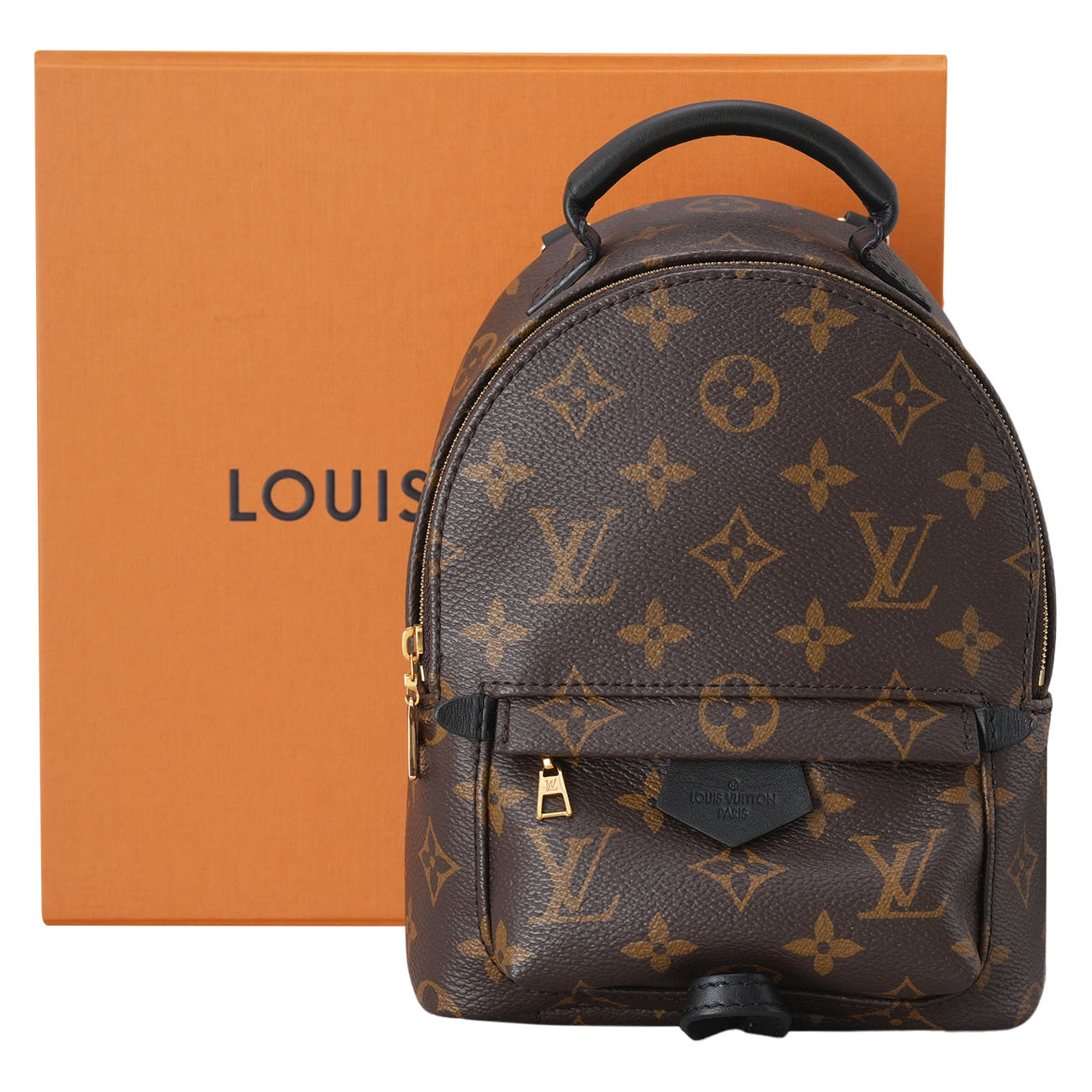 LOUIS VUITTON(USED)루이비통 M44873 모노그램 팜 스프링스 미니 백팩